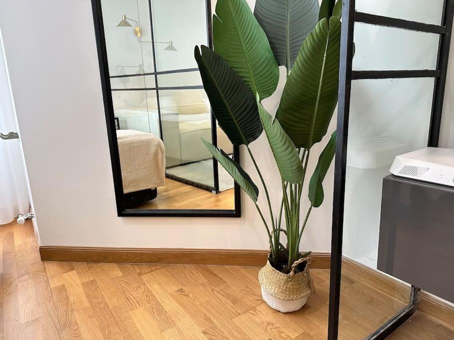 Ybh Suite Alameda Vigo Exteriér fotografie